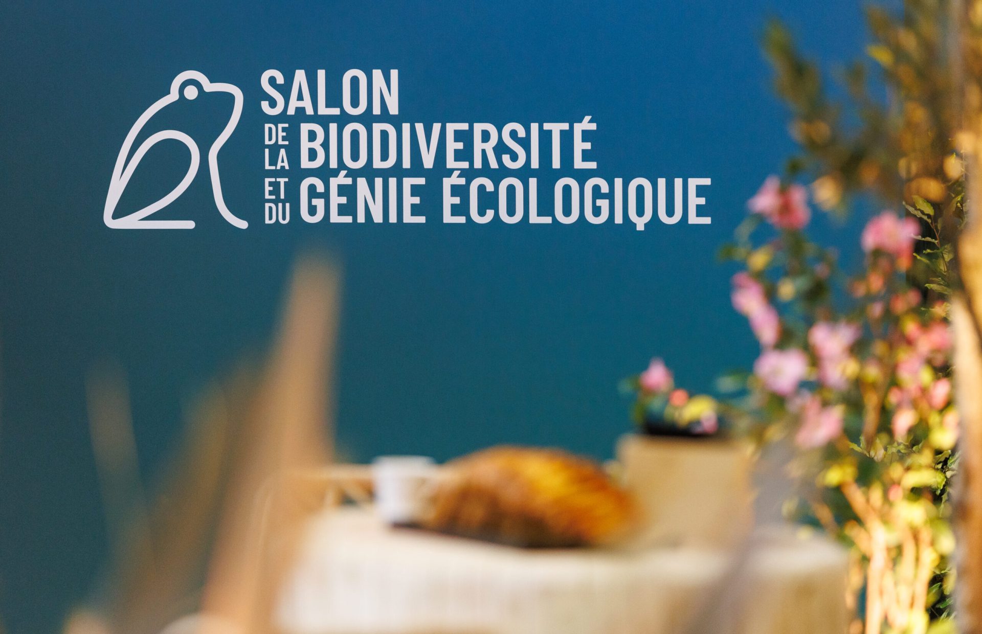 BIODIV25_ambiance_@EdouardMarano_31-scaled